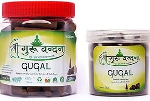 Shree Guru Vandana Guggal Cones (Pack of 2)