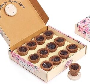 Nytarra Natural Sambrani Havan Cups (12 Pcs)