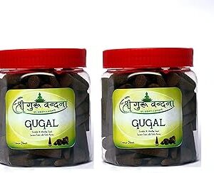 Shree Guru Vandana Guggal Cones (Pack of 2)
