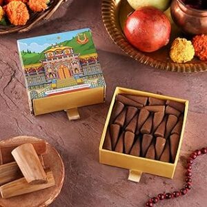 Phool Badrinath Kesar Chandan Cones