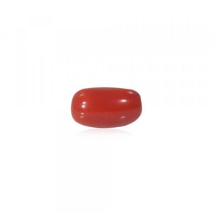 Red Coral - 10.42 Carat