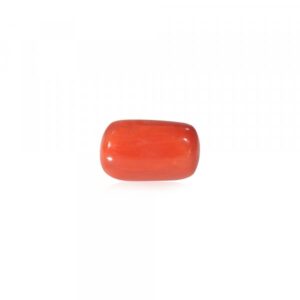 Red Coral - 21.52 Carat