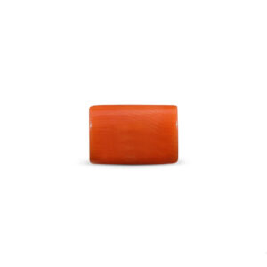 Red Coral (Moonga) - 4.55 Carat