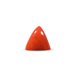 Red Coral - 19.9 Carat