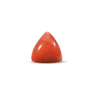 Red Coral - 22.3 Carat
