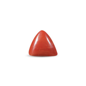 Red Coral - 25.5 Carat