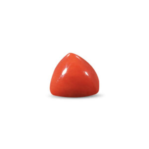 Red Coral - 27.09 Carat