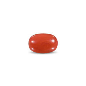 Red Coral - 10.71 Carat