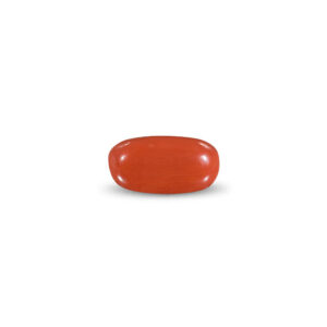 Red Coral - 11 Carat