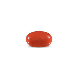 Red Coral - 11.27 Carat