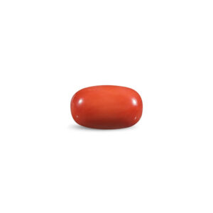 Red Coral - 11.57 Carat