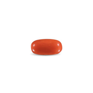 Red Coral - 11.72 Carat