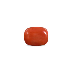 Red Coral - 12.55 Carat