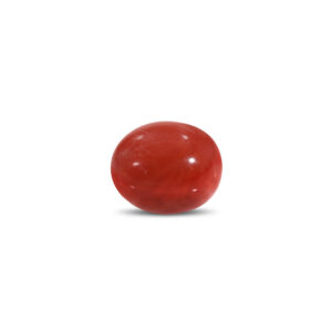 Red Coral - 13.33 Carat