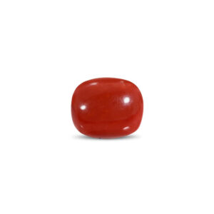 Red Coral - 13.45 Carat