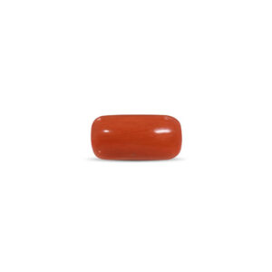 Red Coral - 14.44 Carat