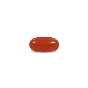Red Coral - 15 Carat