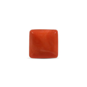 Red Coral - 15.27 Carat
