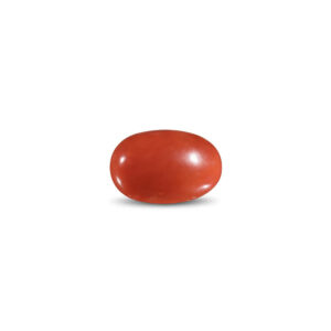 Red Coral - 15.66 Carat