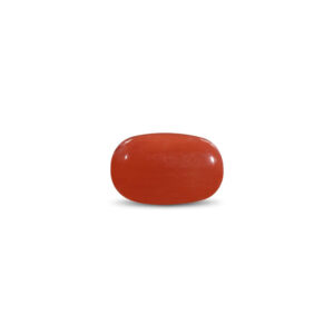 Red Coral - 15.9 Carat