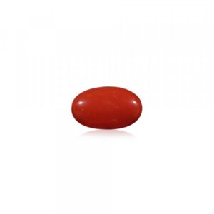 Red Coral - 17.81 Carat