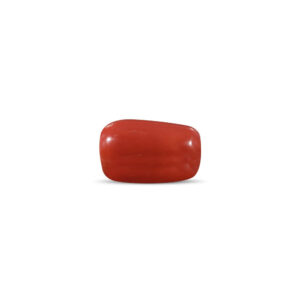 Red Coral - 18.71 Carat