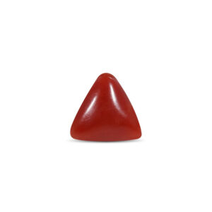 Red Coral - 1.96 Carat
