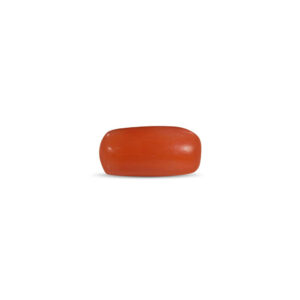Red Coral - 2.27 Carat