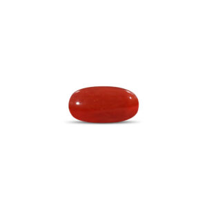 Red Coral - 24.11 Carat