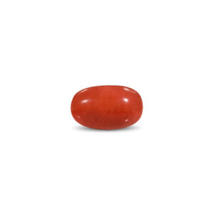 Red Coral - 24.63 Carat