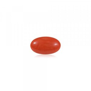 Red Coral (Laal Moonga) - 4.53 Carat