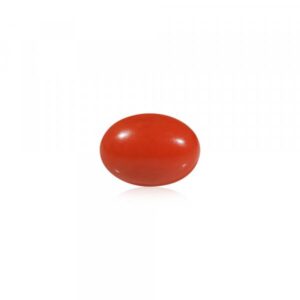 Red Coral - 4.6 Carat