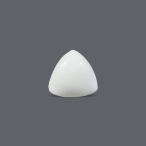 White Coral - 12.31 Carat