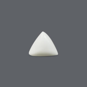 White Coral - 14.08 Carat