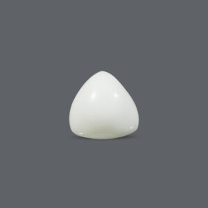 White Coral - 15.81 Carat