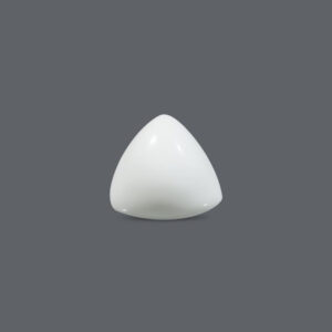 White Coral - 16.45 Carat