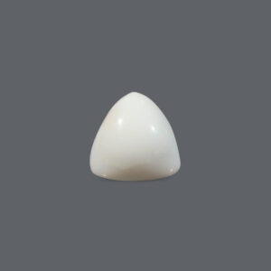 White Coral - 18.71 Carat